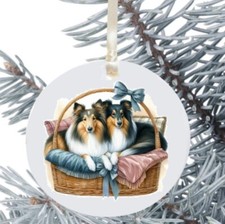 Rough Collie Dog Hanging