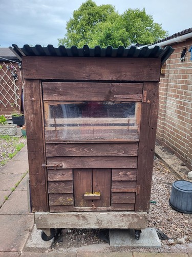 Chicken house - chicken,