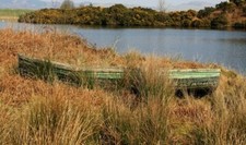 Photo 6x4 The Rowing Boat