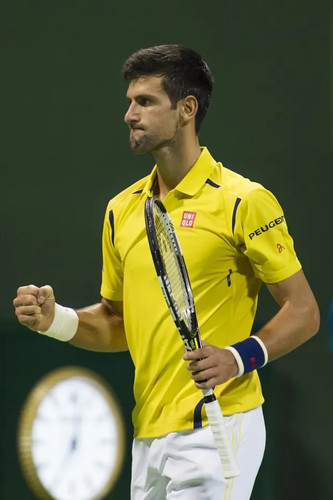 Rare uniqlo djokovic tennis - uniqlo,