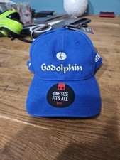 Godolphin Under Armour Blue