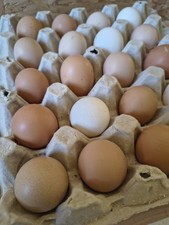 6 Mix Chicken H * * * Ching