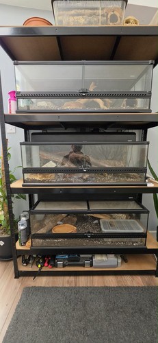 Exo terra large - large, terrariums