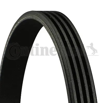Ribbed belt fits peugeot - v-ribbed,