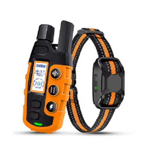 Electric dog training - dog, collar