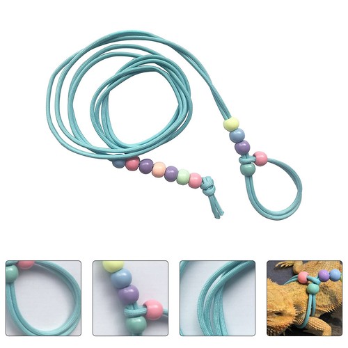 Pet leash small lizard - ,