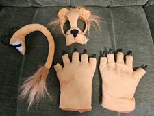Child's lion dress up set with