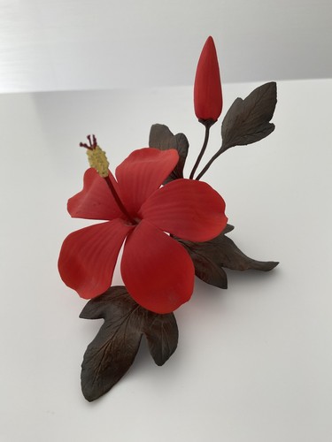 Boehm red hibiscus - boehm, with