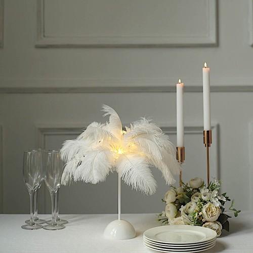 White ostrich feather - feather, desk