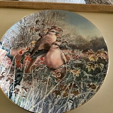 COLLARED DOVES COALPORT BIRD COLLECTORS PLATE FROM THE SERIES FROSTY MORNINGS 
