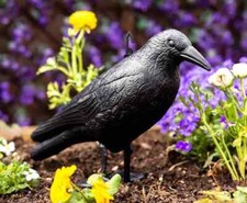 Garden decoy crow repeller - garden,