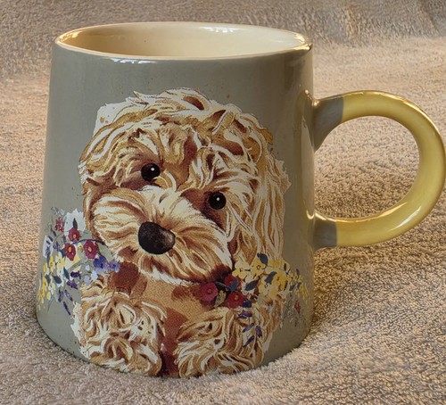 Charming cockapoo spring - charming,