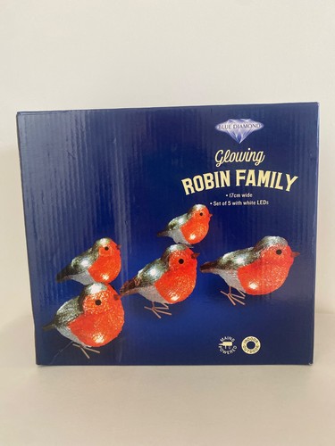 Acrylic indoor outdoor - indoor, robin
