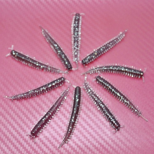 Ragworm bristle lug worm grub - ragworm,