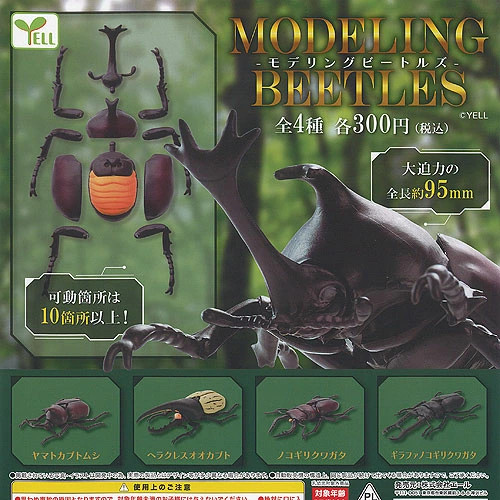 Modeling the beatlescomplete - modeling,