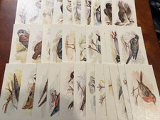 Players Grandee Cigarette Cards Full Set Of 32  - British Birds Collection 1980