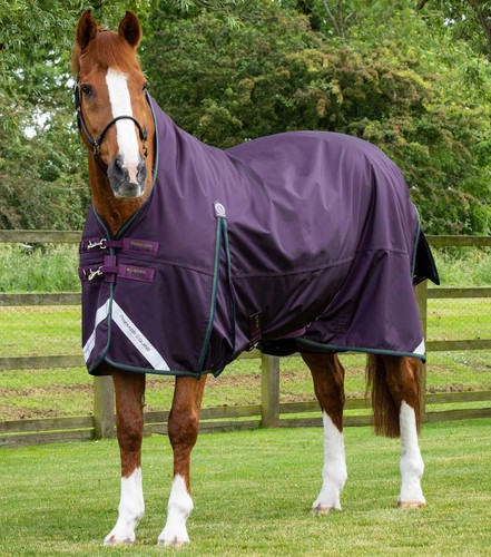Premier equine buster hardy - premier,