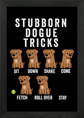 Dogue bordeaux tricks - dogue, de