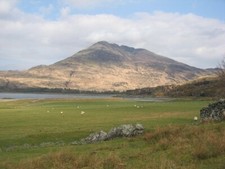 Photo 6x4 Grazing land, Laggan