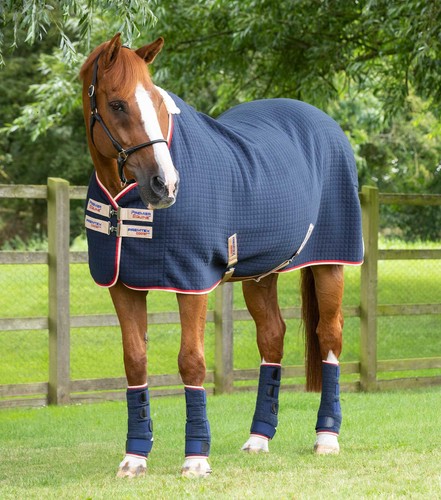 Premier equine premtex horse - premier,