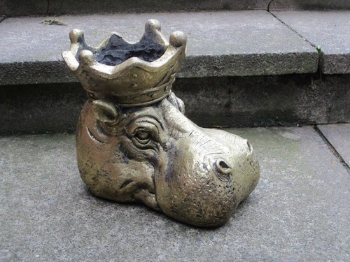 Large regal hippo - regal, pot