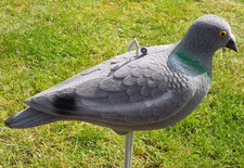 12 x  Hunting Shooting Flocked