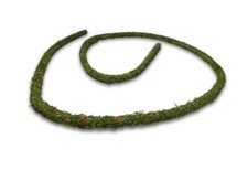 Swell Reptiles Natural Moss