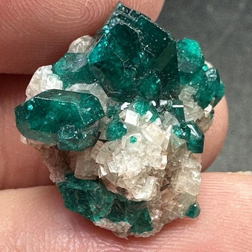 Dioptase crystal cluster south - dioptase,