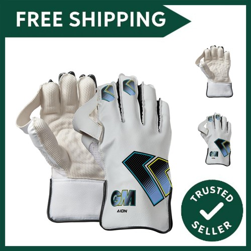 Cricket wicket keeper - wicket,
