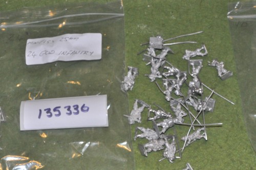 25mm ecw castings minifigs - ecw,