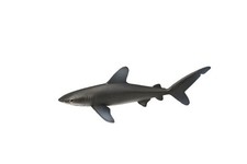 WHITETIP SHARK, PLASTIC