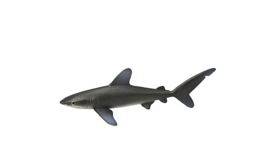 Whitetip shark plastic - whitetip,