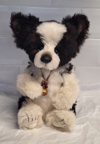 Charlie bears pup muddy - , ‘muddy