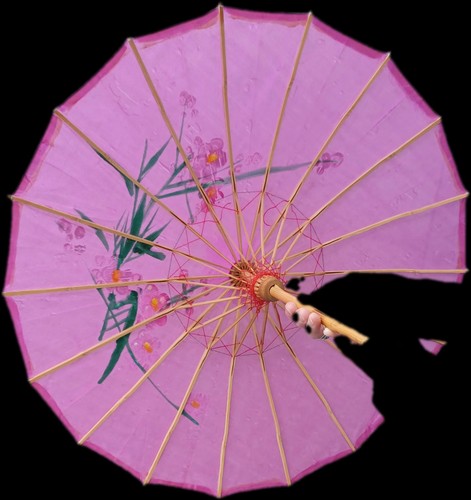 Delicate chinese bamboo - delicate,