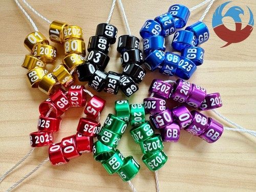 2025 numbered 8mm 10 - 2025, gb