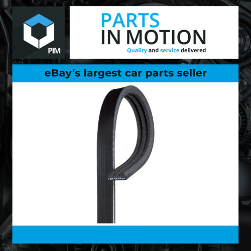 Rib multi drive belt - rib,