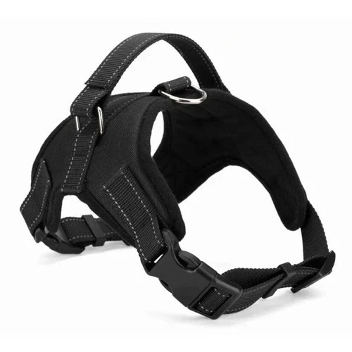 Dog harness pull - dog, for