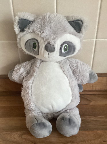 Blankets beyond raccoon - blankets,