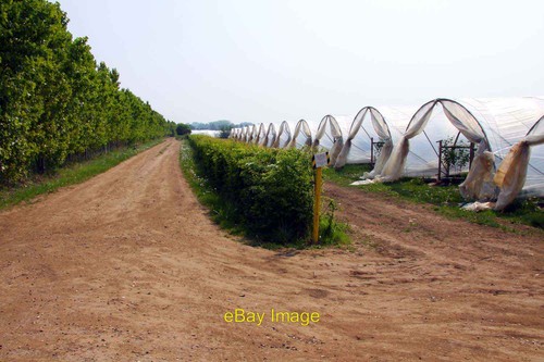 Photo 6x4 bridleway past the - photo,