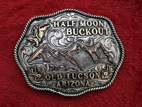 Rodeo treme bull riding - bull,