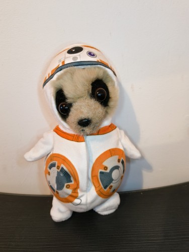 Compare the market - baby, oleg