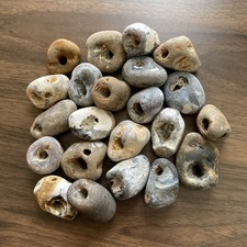 Twenty natural hag stones - natural,