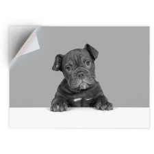 1 x Vinyl Sticker A4 - BW -