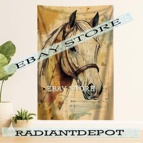 Horse charcoal portrait - charcoal,