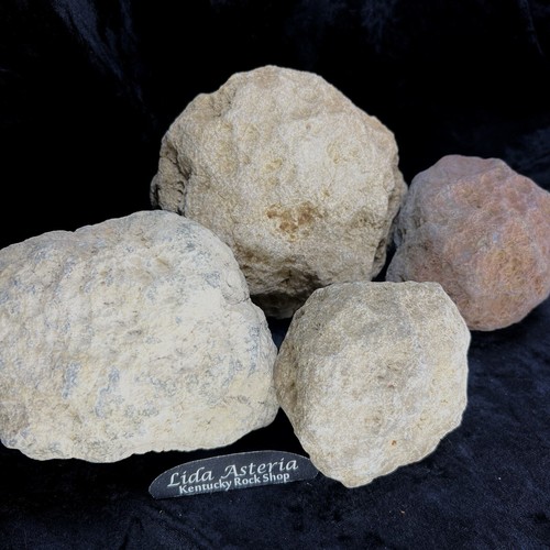 Unopened geodes large - unopened,