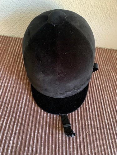 Quality ventura horse riding - horse,