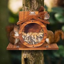Squirrel Feeding House Made of