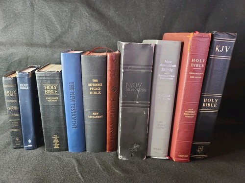 Lot holy bibles kjv nkjv - lot, 10