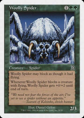 Woolly spider - spider, (30)