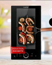 Induction Hob 30 cm 2 Ring